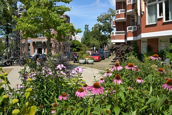 Medium property photo - Paulus Buijsstraat 48, 2582 CK The Hague